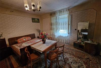 Casă cu Teren 4657 Mp în Șoșdea - 15