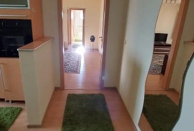 Apartament cu 2 camere semidecomandat, mobilat în Bucovina - 14