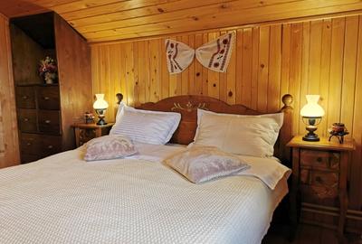 Oportunitate de investitie - pensiune de vanzare Moieciu de Jos - 14