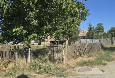 Casă cu 4 camere cu Teren 1160 Mp în Bordușani