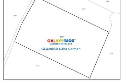 Teren extravilan de 25000 mp, în Nord - 6