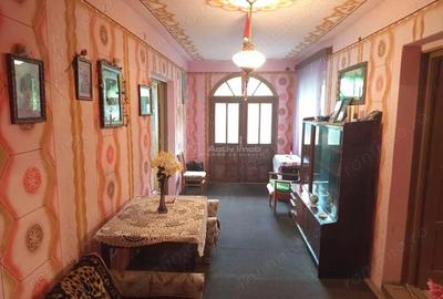 Casă cu Teren 1439 Mp în Brădișoru de Jos - 9