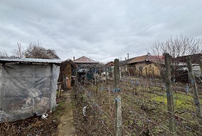 Casă cu 3 camere în Ceptura - 6