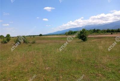 Teren intravilan 5000 mp pe Valea Avrigului, Sibiu - 9