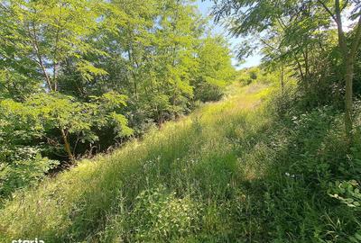 Spațiu comercial, în Drâmbar - 1