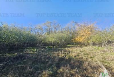 SUPER-PRET Teren 1ha intravilan intre A0, padure si raul Sabar - 1