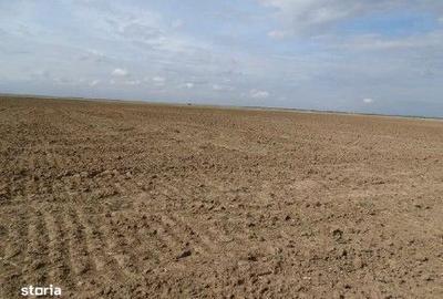 Spațiu comercial, în Albeni - 8