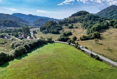 Cheile Rasnoavei DN73A, teren extravilan 3.000 mp, zona de vis, ideal investitie - 10