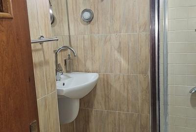 Apartament cu 3 camere decomandat în Ultracentral - 6