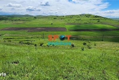 Spațiu comercial, în Vișea - 6