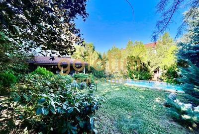 SUPERB/GRADINA/VEGETATIE MATURA/VILA INDIVIDUALA/PISCINA EXTERIOARA - 30