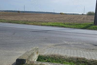 Teren în Cocorăștii Colț - 3