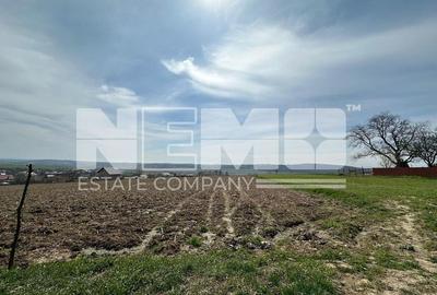 Teren de 3900 mp, în Pătrăuți - 4