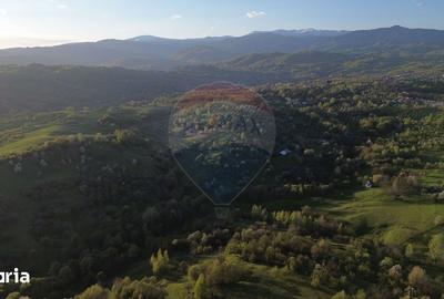 Teren de 15459 mp, în Bughea de Sus - 9
