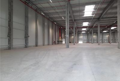 Spatiu Industrial - 2300 mp - Logistica - Productie - Depozitare - Distributie - 3