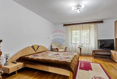 Casa de vanzare in Pecica - teren generos, utilata si mobilata complet - 11