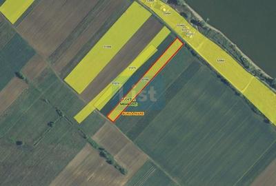 Teren agricol extravilan de 5000 mp, în Vrancea - 2