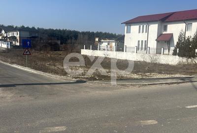 Teren Construcții intravilan de 900 mp, în Trivale - 3