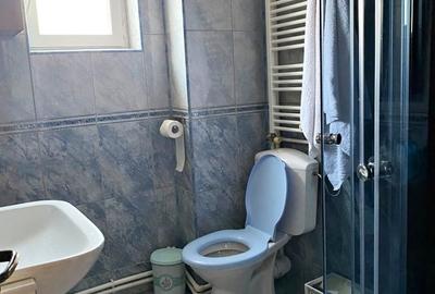 Casa superba 4 camere, Valu Traian - 19