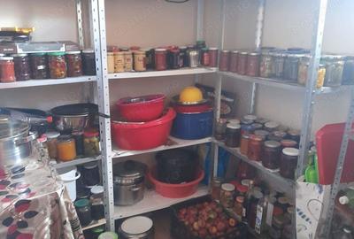 Casă cu 3 camere în Avram Iancu (Cermei) - 1