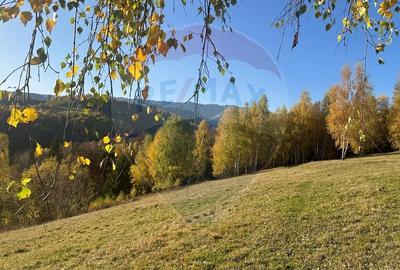 Oportunitate de investiție ! Teren de vis în Pestera - 125.370 mp - 35