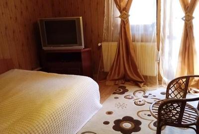 Casă cu 5 camere cu Teren 900 Mp în Râu Sadului - 10