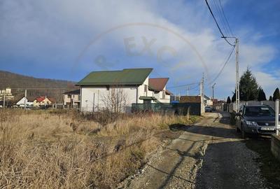 Teren Construcții intravilan de 1250 mp, în Bascov - 2