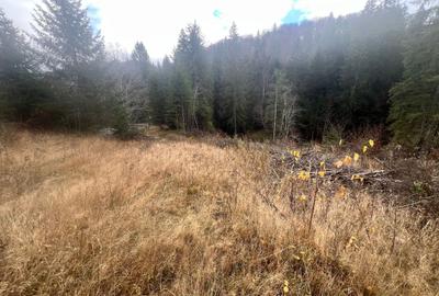 Teren 2576mp Poiana Brasov-Poiana Aviatorilor! - 2