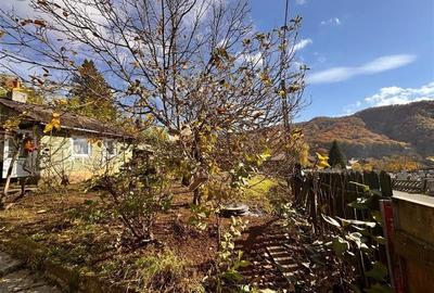 De vanzare sau la schimb, casa batraneasca in Ferneziu, cu 6 ari teren - 5