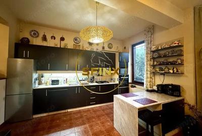 Casa 6 Camere, gradina spectaculoasa, Erou Iancu Nicolae - 17