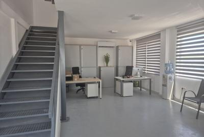 Hale de Inchiriat 600 mp Chitila - 8