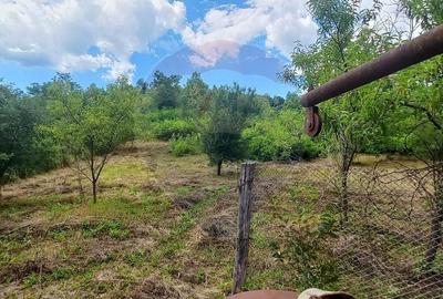 Teren Construcții intravilan de 3551 mp, în Poiana Copăceni - 1