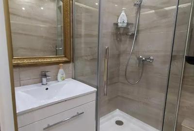 Inchiriere garsoniera in zona Theodor Pallady - 3