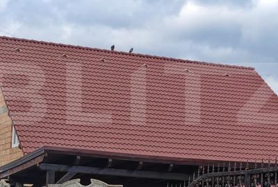 Casa la rosu de vanzare in Vulcan - Brasov - 19