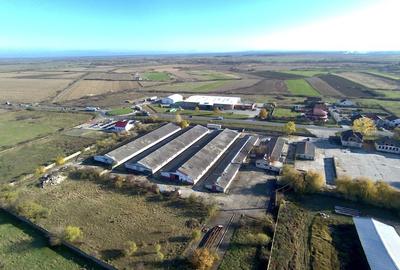 Spațiu industrial, de 1,200 mp, în Aeroport - 13