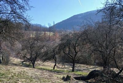 Casă cu 3 camere în Nojag - 7