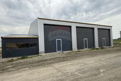 Service de inchiriat Podari zona industriala - 1