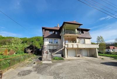Casă cu Teren 1634 Mp în Gurișoara - 10