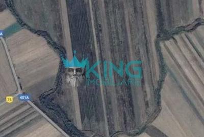 Teren Construcții intravilan de 63900 mp, în Mătăsaru