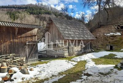 Casă cu 5 camere cu Teren 1035 Mp în Întregalde - 7