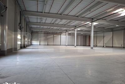 Spațiu comercial, de 4,026 mp, în Borș - 1