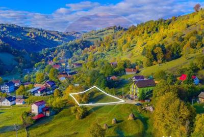 Teren de 1564 mp, în Moieciu - 5