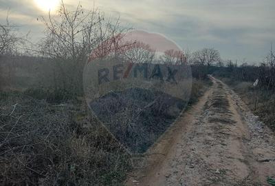 Teren 2,301mp Carcea / Aleea Tarlaua 37 Parcela 63 - 1