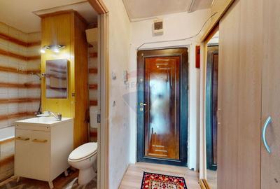 Garsonieră decomandată, mobilată în Noua - 10