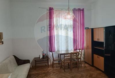 Apartament cu 2 camere nedecomandat, mobilat în Horea - 2
