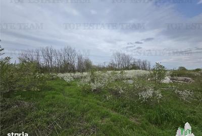 Teren de 2325 mp, în Joița - 2