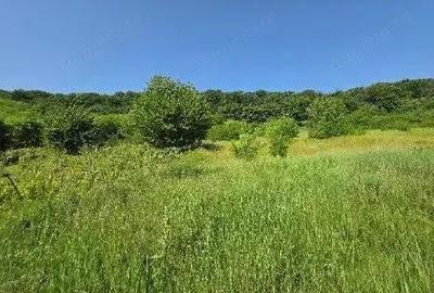 Teren Duda Epureni, ID: R2609594 - 3