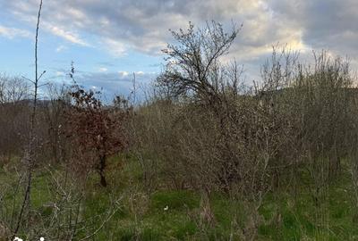 Teren de 930 mp, în Central - 1