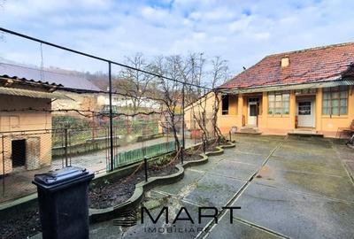 Spațiu comercial, de 250 mp, în Șmig - 2