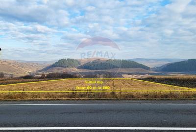 Teren industrial 9.000 mp Gilau Front la DN1 E60 Acces TIR - 4